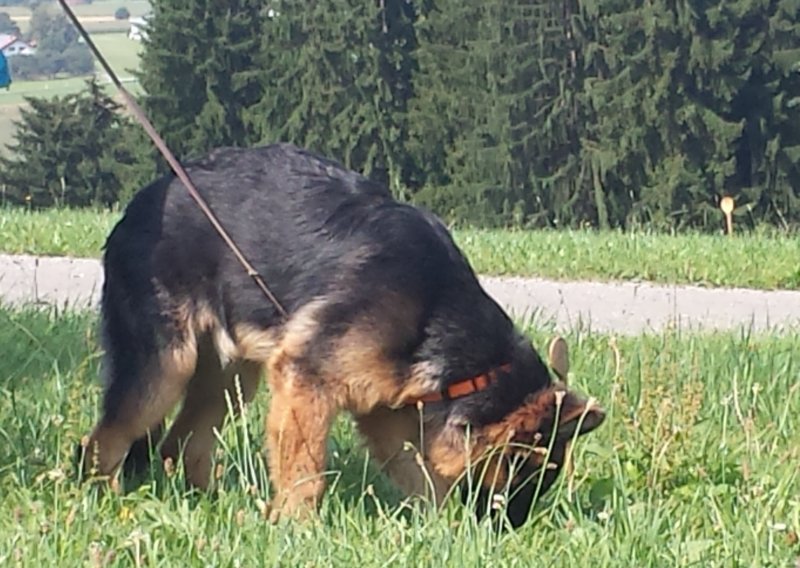 fhrten058.jpg