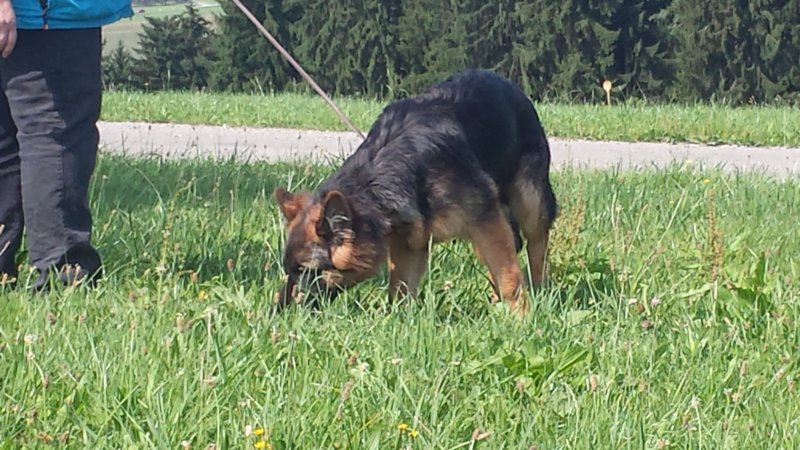 fhrten060.jpg