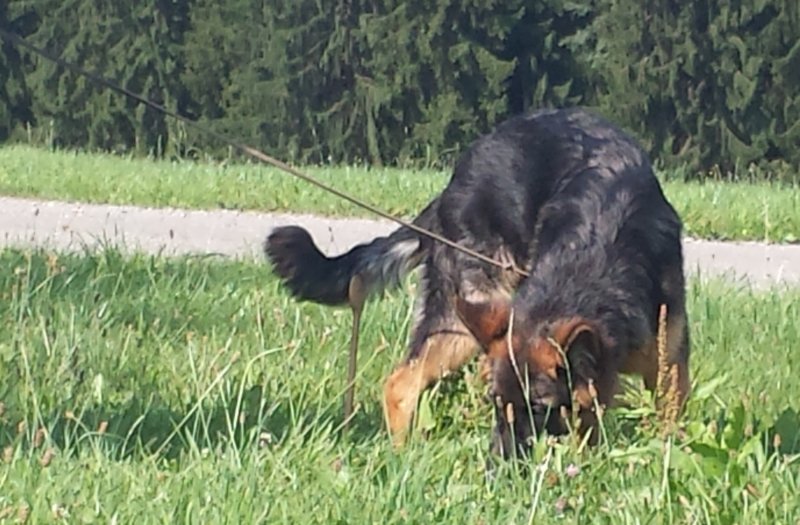 fhrten063.jpg