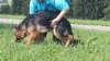 fhrten068_small.jpg