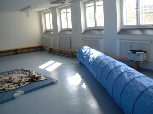 tunnelsve.jpg