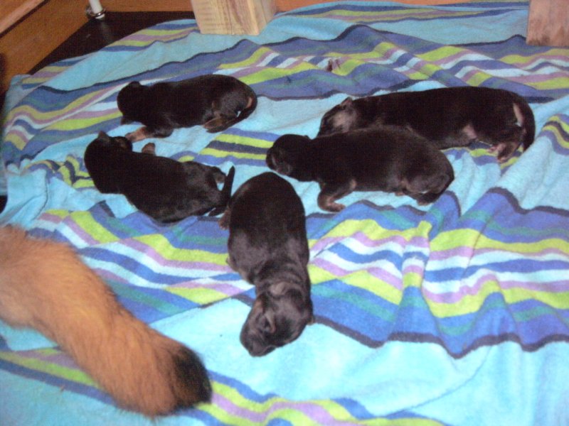 pict2724.jpg